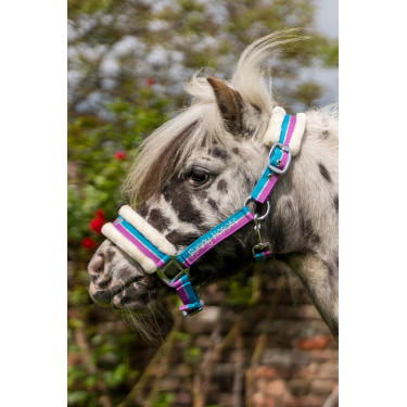 Halster Funny Horses HKM Violet / aqua / zilver Halster Funny Horses HKM Violet / aqua / zilver