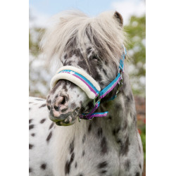 Halster Funny Horses HKM Violet / aqua / zilver Halster Funny Horses HKM Violet / aqua / zilver