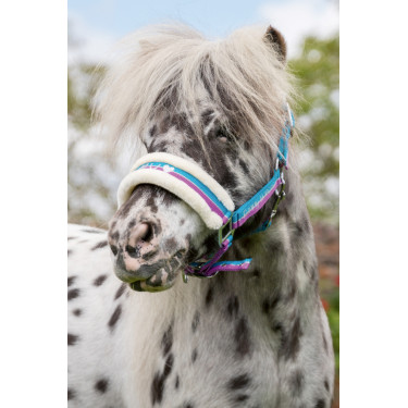 Halster Funny Horses HKM Violet / aqua / zilver Halster Funny Horses HKM Violet / aqua / zilver