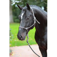 Touwhalster voor paarden - Verstelbaar & stevig