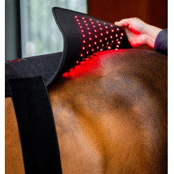 Horseware LED-lichttherapiedeken Zwart / zwart