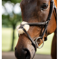 Grackle hoofdstel in 8-vorm Horseware gekruiste neusriem Bruin