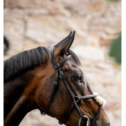 Grackle hoofdstel in 8-vorm Horseware gekruiste neusriem Bruin