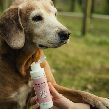 Gel Mouv Nutragile Hond en kat
