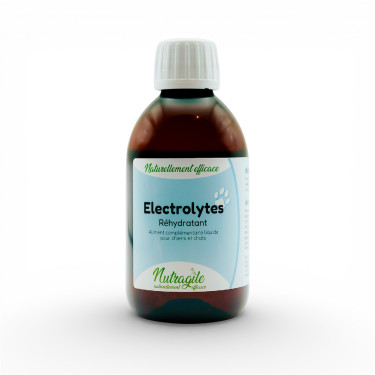 Elektrolyten Nutragile