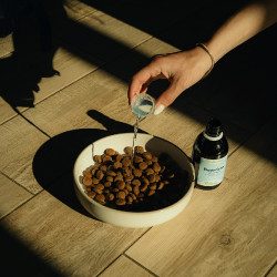 Elektrolyten Nutragile