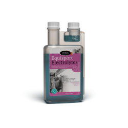 Equisport Elektrolyten Horse Master