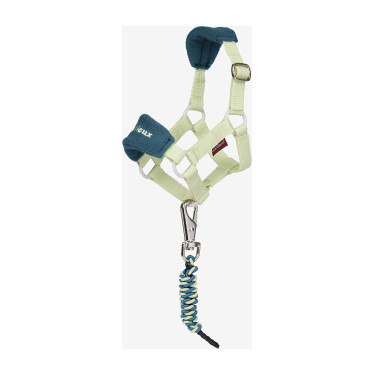 Vogue halster voor speelgoed Mini Pony LeMieux Badge Groen