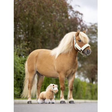 Mini Pony LeMieux Lemon Bewolkt