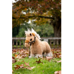 Mini Pony LeMieux Lemon Bewolkt
