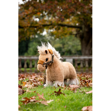Mini Pony LeMieux Lemon Bewolkt