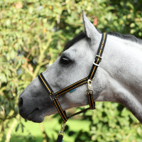 Halster Bucas Dublin Zwart / goud
