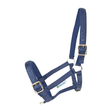 Halster Bucas Dublin Marineblauw / marineblauw