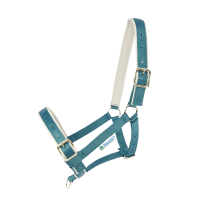 Halster Bucas Dublin Atlantisch / zilver Blauw