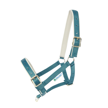 Halster Bucas Dublin Atlantisch / zilver Blauw
