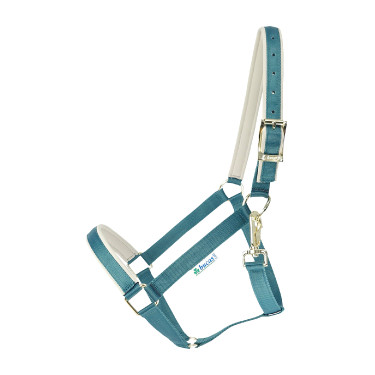 Halster Bucas Dublin Atlantisch / zilver Blauw