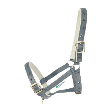 Halster Bucas Dublin Poort / zilver