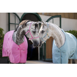 Overhemd Bucas Freedom Twill Overhemd Bucas Freedom Twill