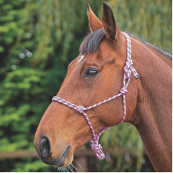 Shires touwhalster Roze / zwart Shires touwhalster Roze / zwart