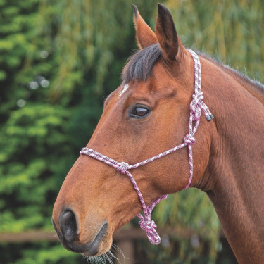Shires touwhalster Roze / zwart Shires touwhalster Roze / zwart
