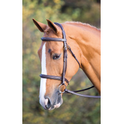 Bridon Fairford Salisbury Shires Bridon Fairford Salisbury Shires