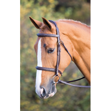 Bridon Fairford Salisbury Shires Bridon Fairford Salisbury Shires