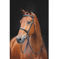 Bridon Fairford Salisbury Shires