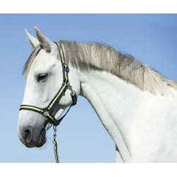 Halster Hippo Covalliero Antraciet / citroen Grijs