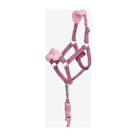 Halster en halstertouw Vogue Hobby Horse LeMieux Kaasjeskruid Violet