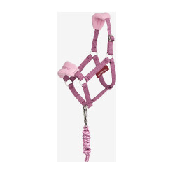 Halster en halstertouw Vogue Hobby Horse LeMieux Kaasjeskruid Violet