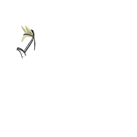 Vliegendeken-oorbeschermers LeMieux Air-Tek meshstof Badge Vliegendeken-oorbeschermers LeMieux Air-Tek meshstof Badge