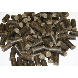 Delizia traktaties Kerbl