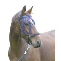 Frontale anti-vlieg Covalliero Blauw