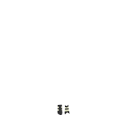 LeMieux zachte Grafter Air-Tek peesbeschermers Badge