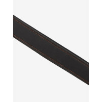LeMieux Hunter neusriem Havanna / zilver Bruin