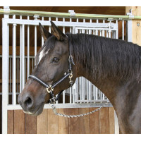 Halster Mustang Covalliero Zwart / zilver