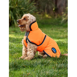 Waterdichte hondenmantel Weatherbeeta ComFiTec Reflective 300D Deluxe Oranje Waterdichte hondenmantel Weatherbeeta ComFiTec Reflective 300D Deluxe Oranje