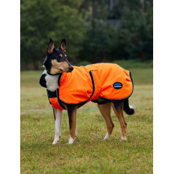 Waterdichte hondenmantel Weatherbeeta ComFiTec Reflective 300D Deluxe Oranje Waterdichte hondenmantel Weatherbeeta ComFiTec Reflective 300D Deluxe Oranje