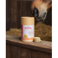 Supplement Cyclus Comfort Merrie Happy Crackers