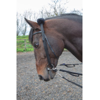 Shires longe-adapter Zwart Shires longe-adapter Zwart