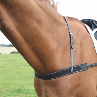 Elastische borsttuiging Shires Velociti Gara Zwart