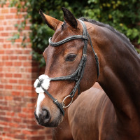 Hoofdstel met Mexicaanse neusriem Opus 180M Shires Velociti Lusso Zwart