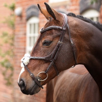 Hoofdstel met Mexicaanse neusriem Opus 180M Shires Velociti Lusso Havana Bruin