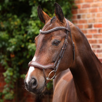 Ergonomisch hoofdstel met Franse neusriem Opus 180M Shires Velociti Lusso Havana Bruin