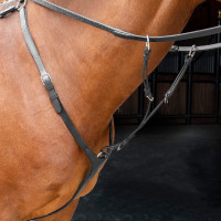 Shires Velociti Rapida borsttuig Zwart Shires Velociti Rapida borsttuig Zwart