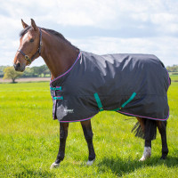 Buitendeken Original 300 Shires Tempest Zwart