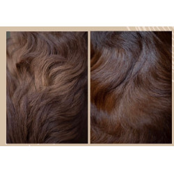 Ontklitter en glansspray Nellumbo voor honden en katten