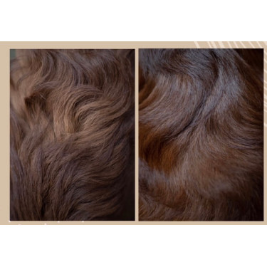 Ontklitter en glansspray Nellumbo voor honden en katten