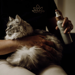 Ontklitter en glansspray Nellumbo voor honden en katten
