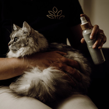 Ontklitter en glansspray Nellumbo voor honden en katten